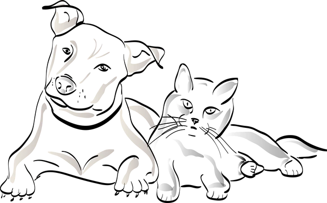 Từ vựng Animal: [n] Động vật
