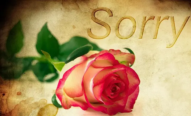 Mẫu câu: I am sorry.