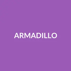 Từ vựng Armadillo: [n] Tatu