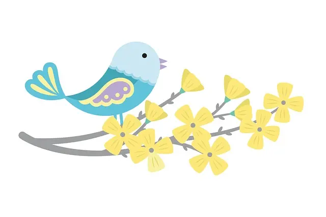 Từ vựng Bird: [n] Con chim