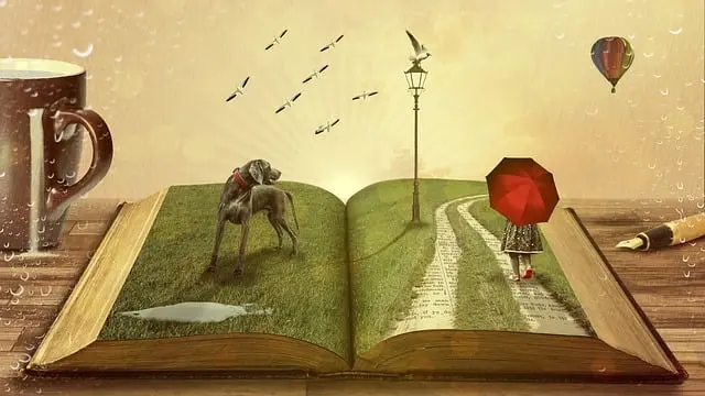 Từ vựng Book: [n] Quyển sách