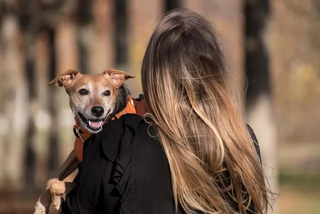Mẫu câu: Do you have any pets?