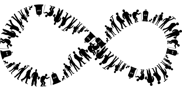 Từ vựng complementary: [adj] Bổ sung, bù đắp