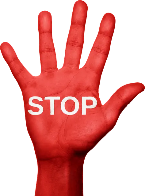 Từ vựng directive: [N] Chỉ thị, hướng dẫn