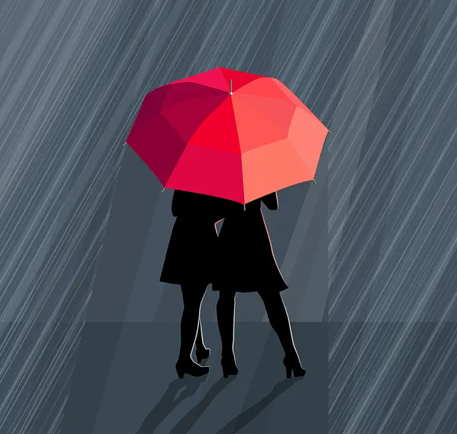 Từ vựng downpour: [N] Mưa rào, mưa lớn