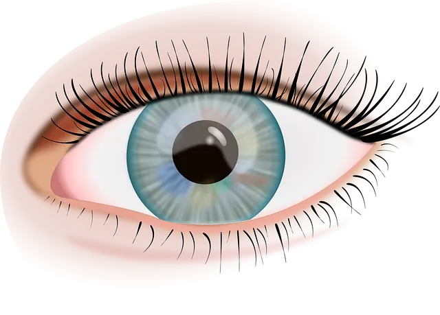 Từ vựng Eye: [n] Mắt