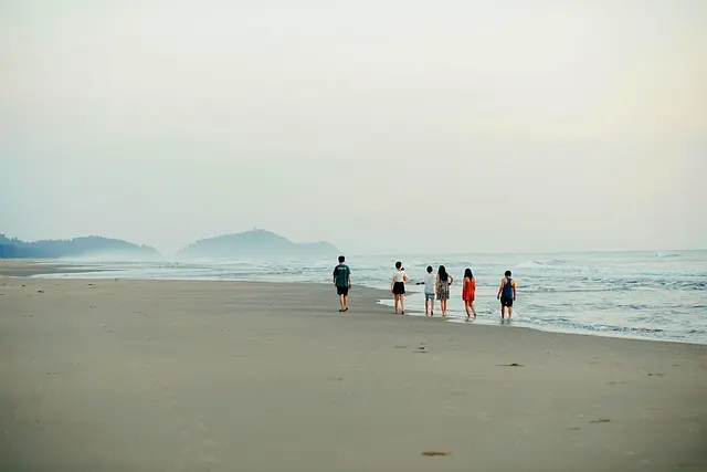 Mẫu câu: Long time no see.