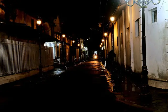 Mẫu câu: I am definitely a night owl.