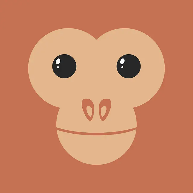 Từ vựng Monkey: [n] Con Khỉ