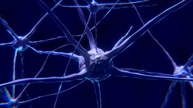 Từ vựng Nerve: [n] Dây thần kinh