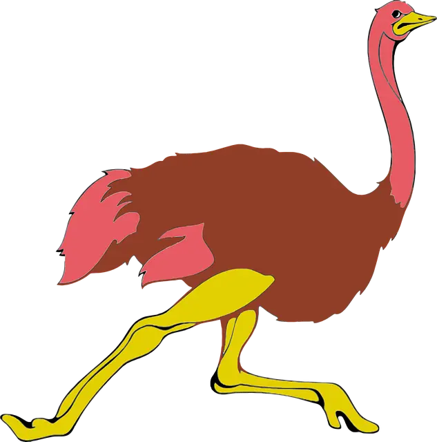 Từ vựng Ostrich: [n] Đà điểu