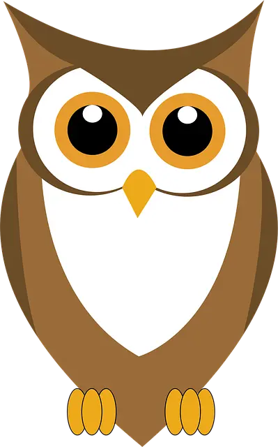 Từ vựng Owl: [n] Con Cú