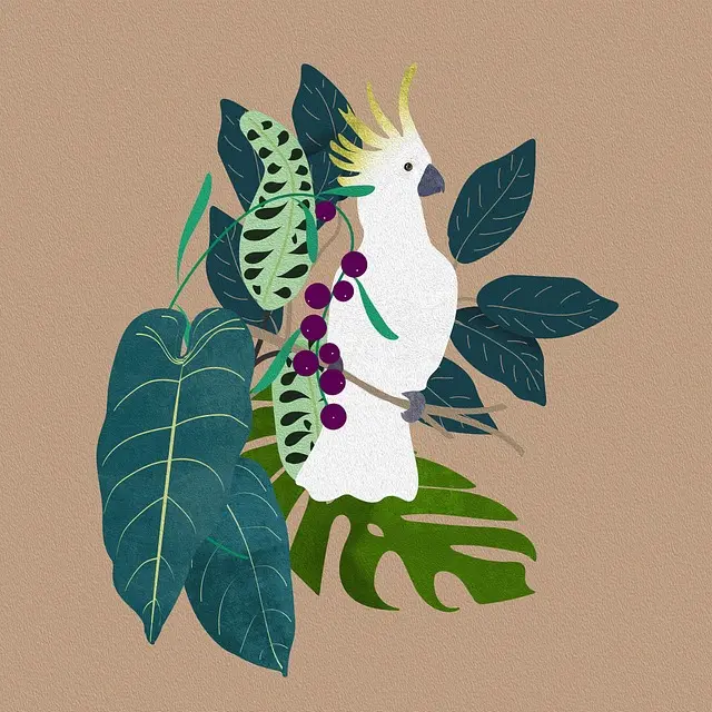 Từ vựng Parrot: [n] Con Vẹt