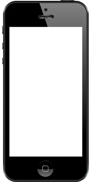 Từ vựng Phone: [n] Điện thoại