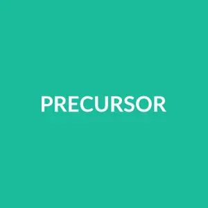 Từ vựng precursor: [N] Tiền đề, điềm báo trước, người/vật đi trước