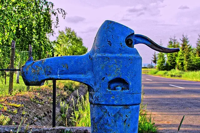 Mẫu câu: Where can I empty my water bottle?