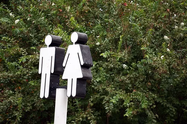 Mẫu câu: Where are the restrooms?