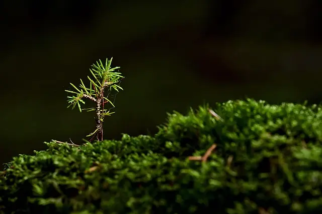 Kiên nhẫn là sức mạnh âm thầm giúp hạt mầm trở thành cây lớn.
