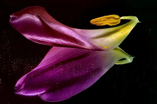 Niềm vui nhân đôi khi được sẻ chia. Hôm nay hãy kể một câu chuyện vui cho người bên cạnh nhé!