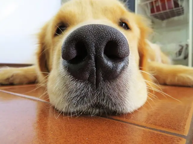 Lười là bước khởi đầu của mọi vấn đề.
