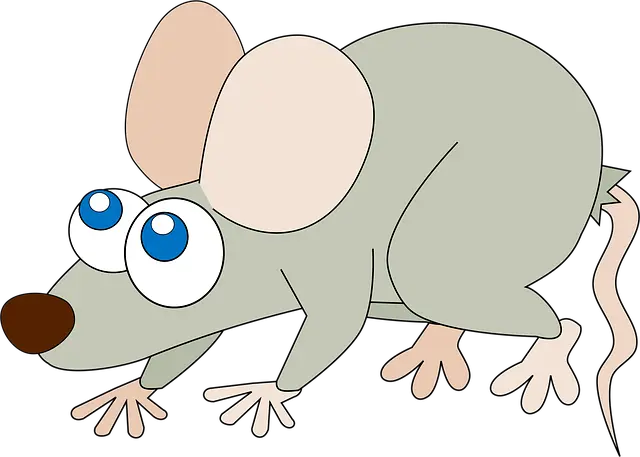 Từ vựng Rat: [n] Con Chuột