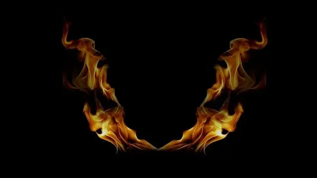 Từ vựng ravages: [danh từ] Sự tàn phá, sự phá hủy.