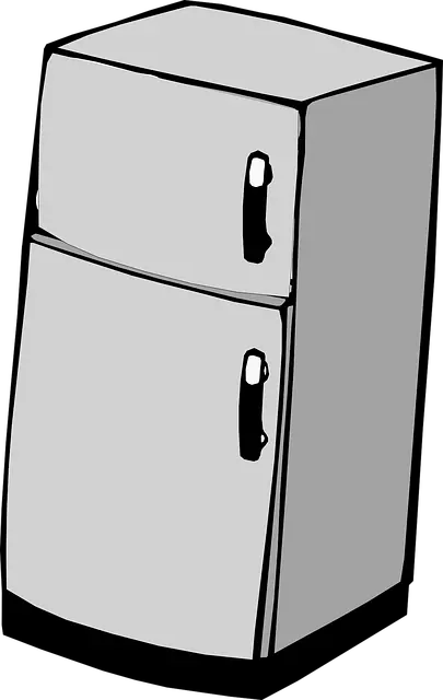 Từ vựng Refrigerator: /rɪˈfrɪdʒəreɪtə(r)/