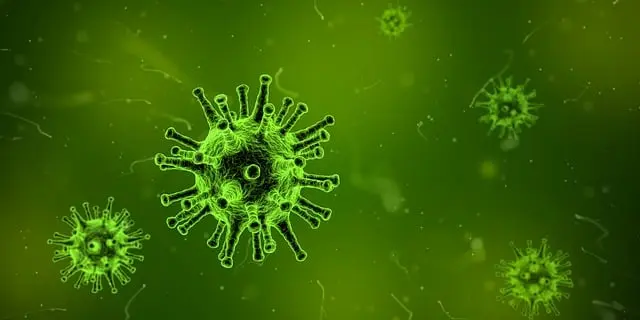 Từ vựng Research: [v] Nghiên cứu