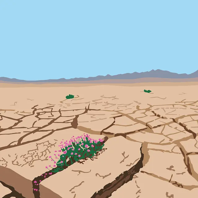 Từ vựng resilience: [Danh từ] Khả năng phục hồi, sự kiên cường (tinh thần); tính đàn hồi (vật lý)