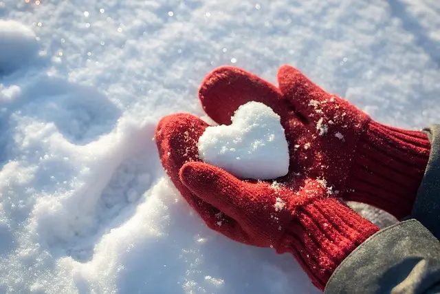 Từ vựng Snow: [n] Tuyết