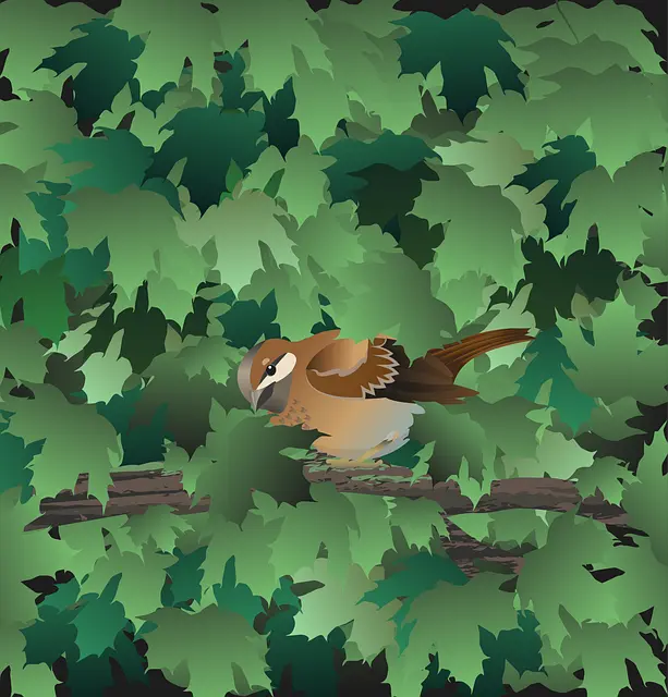 Từ vựng Sparrow: [n] Chim sẻ