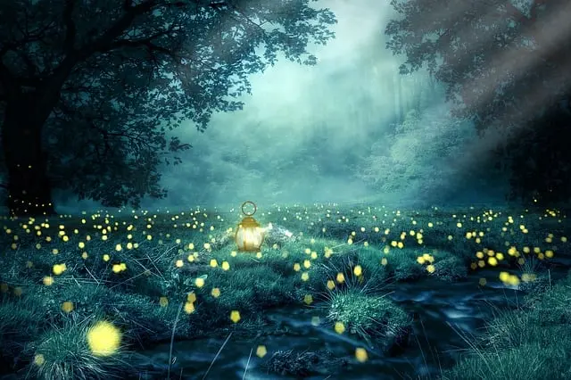 Từ vựng Stream: [v] Phát trực tiếp