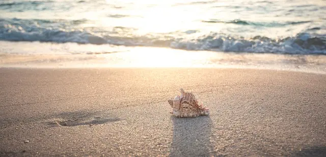 Mẫu câu: We usually go to the beach in the summer.