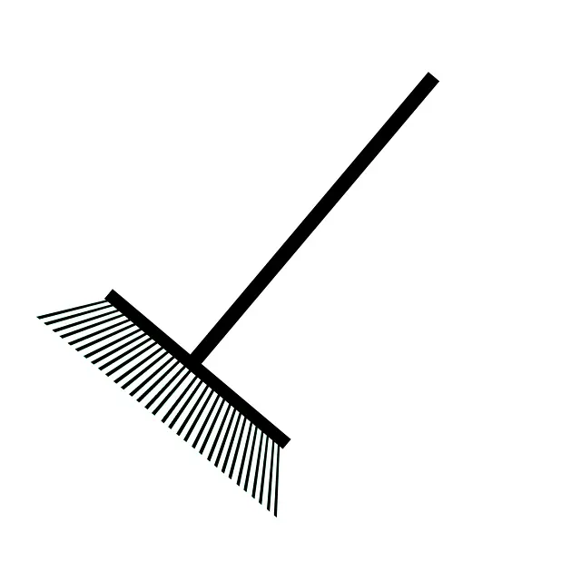 Từ vựng Sweeping: [n] Việc quét dọn