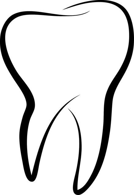 Từ vựng Tooth: [n] Răng