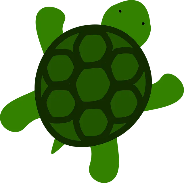 Từ vựng Tortoise: [n] Rùa cạn