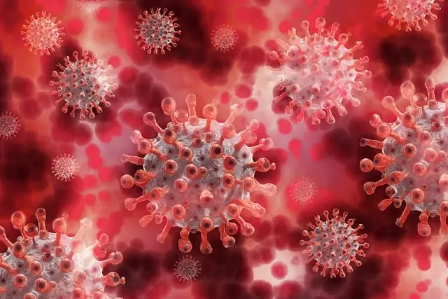 Từ vựng Virus: [n] Vi-rút máy tính