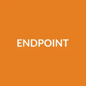 Từ vựng endpoint: [noun] Điểm cuối, đích đến