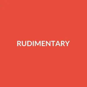 Từ vựng rudimentary: [adjective] sơ khai, cơ bản
