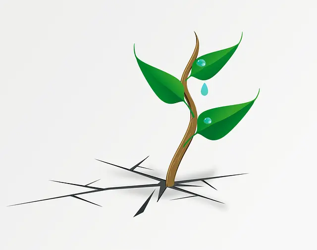 Từ vựng sprout: [verb] nảy mầm, nảy sinh