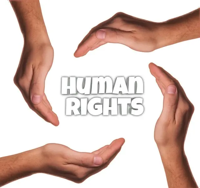 Từ vựng universality: [danh từ] Tính phổ quát, tính toàn cầu